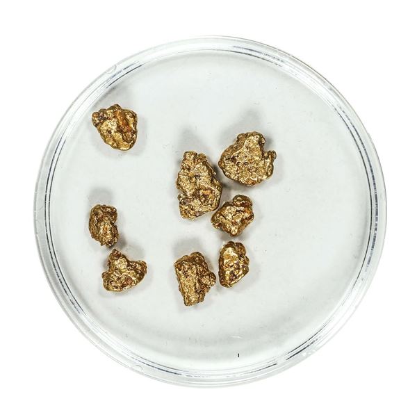 Gold Nuggets 4.62 Grams Total Weight