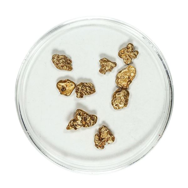 Gold Nuggets 2.45 Grams Total Weight