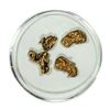 Image 1 : Lot of Gold Nuggets 3.58 Grams Total Weight