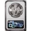 Image 2 : 2021(P) Type 1 $1 American Silver Eagle Coin NGC MS70 Early Releases Philadelphia