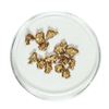 Image 1 : Gold Nuggets 3.28 Grams Total Weight