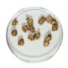 Image 1 : Gold Nuggets 4.36 Grams Total Weight