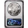 Image 2 : 2021(P) Type 1 $1 American Silver Eagle Coin NGC MS70 Struck at Philadelphia