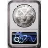 Image 2 : 2021(P) Type 1 $1 American Silver Eagle Coin NGC MS70 Struck at Philadelphia