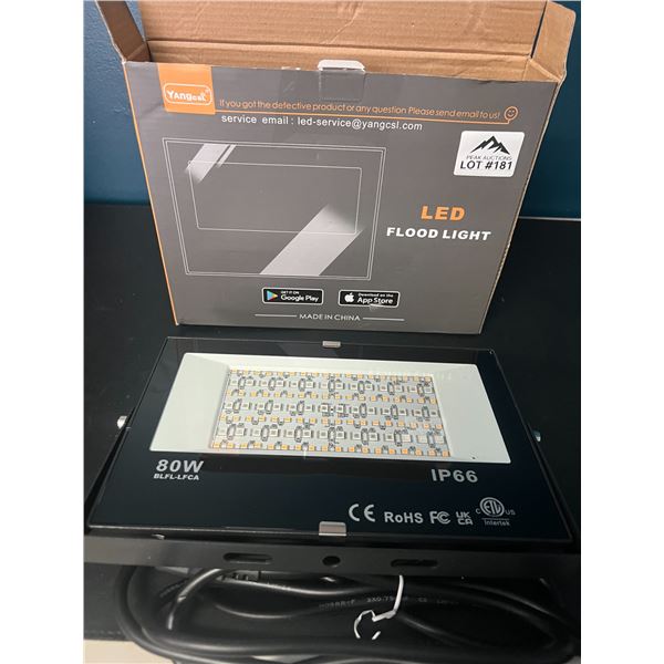 Lot of 1 Smart LED Flood Light