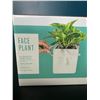Image 2 : Lot of 2 Face Plant - Planter Pots