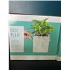 Image 2 : Lot of 2 Face Plant - Planter Pots