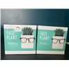 Image 1 : Lot of 2 Face Plant - Planter Pots