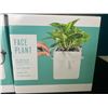 Image 2 : Lot of 2 Face Plant - Planter Pots