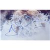 Image 1 : Hugh Jackman Signature *Auto Signed* (A2027)