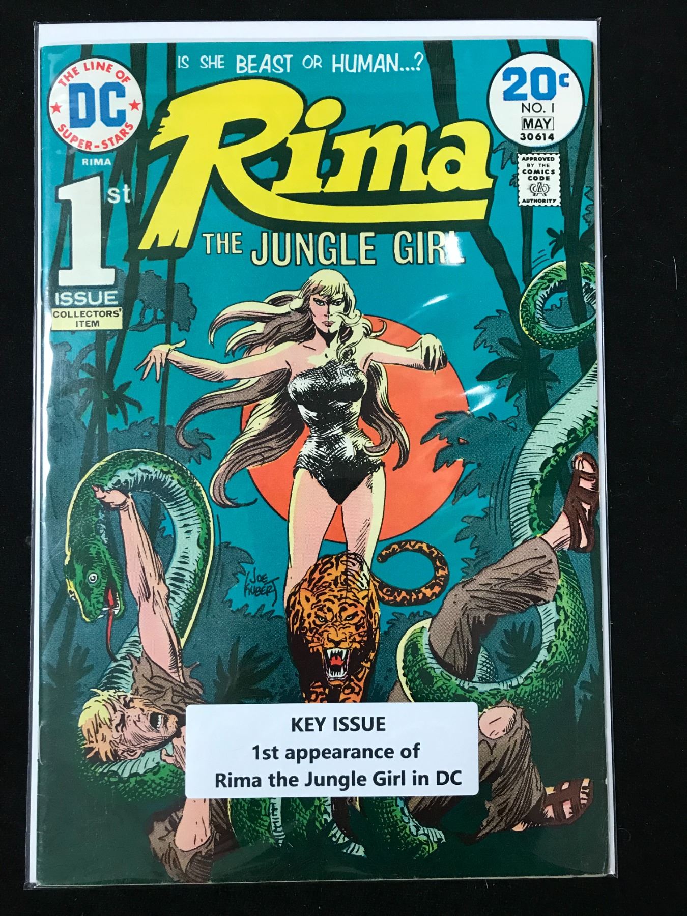 1974 DC COMICS RIMA THE JUNGLE GIRL NO. 1