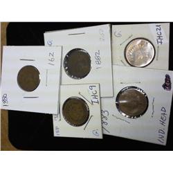 1880-1884 Indian Head Cents (Five Coins)