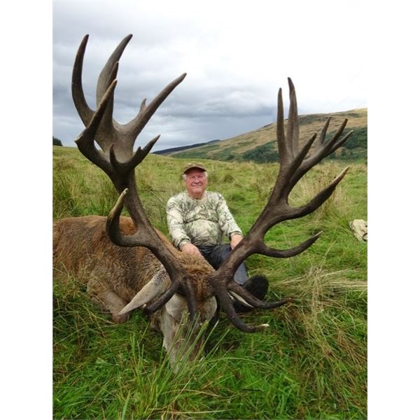 Scotland Red Stag Hunt
