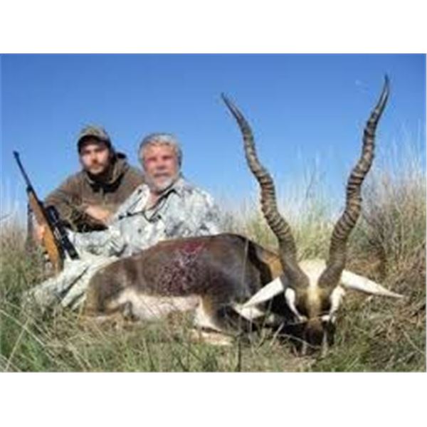 3 Patagonia Blackbucks for 3 Hunters