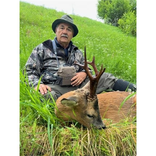 Scotland Roe Deer Hunt