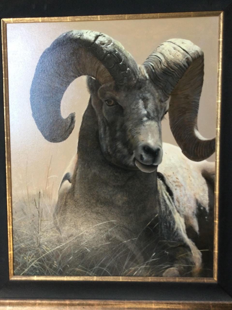 Bighorn Sheep Painting bighorn-sheep-painting