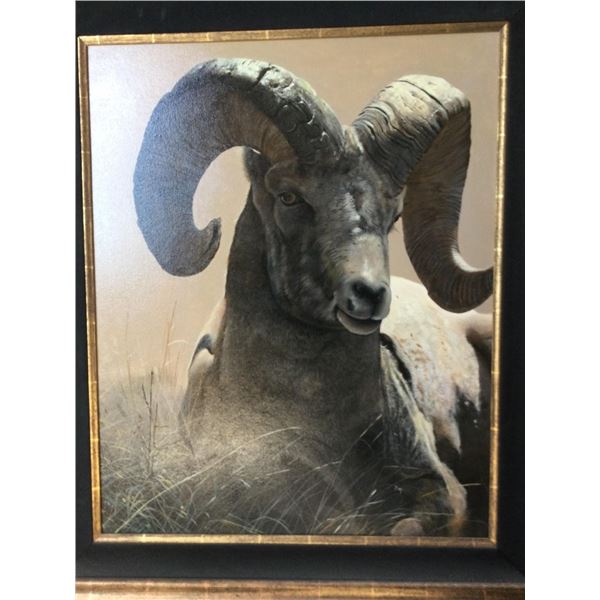 Bighorn Sheep Painting