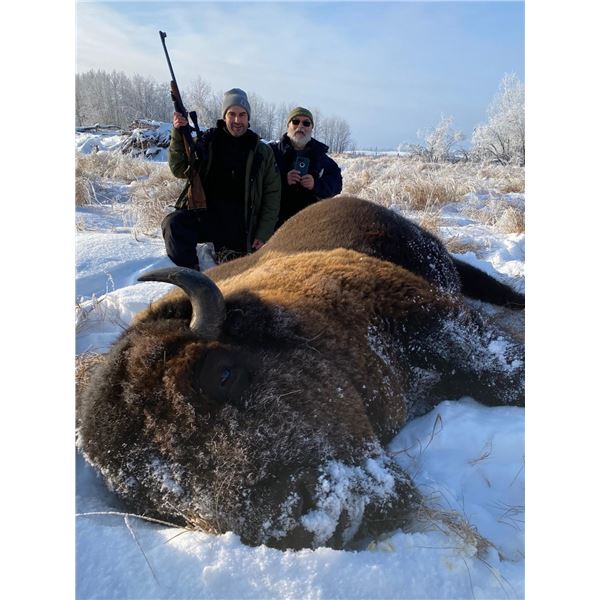Bison hunt with Tatonka Flats
