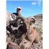Image 3 : AOUDAD HUNT IN TEXAS WITH ROWDY MCBRIDE HUNTING SERVICES - 5 DAYS / 1 HUNTER