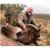 Image 2 : 5- FULL DAY ARGENTINA BIG GAME HUNT FOR 1 HUNTER AND 1 NON HUNTER INCLUDING CREDITS TOWARDS TROPHY F