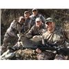 Image 2 : COUES DEER HUNT IN ARIZONA WITH DIAMOND OUTFITTERS - 5 DAYS / 2 HUNTERS