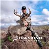 Image 4 : COUES DEER HUNT IN ARIZONA WITH DIAMOND OUTFITTERS - 5 DAYS / 2 HUNTERS