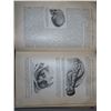 Image 6 : Antique 1912 & 1924 Medical Books (Gynecology medical & surgical by Bland, Obstetrics by Williams) w