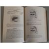 Image 11 : 3 Antique books (Operative Surgery by Bickham, Diagnostics of Internal Medicine by Butler, Physical 