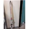 Vintage Down hill skis - Brand = Head