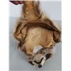 Image 6 : Antique Raccoon Hat