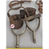 Image 2 : Lot of Antique Horse tack