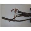 Image 4 : horse bridle w/ blinders