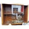 Image 1 : Shadow box Case (37"H x 48"L x 17"D) - ITEMS NOT INCLUDED - Display case only