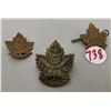 Image 1 : South Saskatchewan 46 regiment cap & shoulder badges