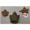 Image 2 : South Saskatchewan 46 regiment cap & shoulder badges