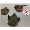 Image 6 : South Saskatchewan 46 regiment cap & shoulder badges