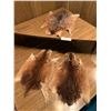 Image 1 : 3 x Small Rodent Pelts