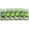 Image 1 : 6 PACKS APPLE SCENTED TEA LIGHT CANDLES 