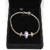 Image 1 : SIGNED PANDORA CHARM BRACELET