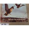 Image 8 : CiL Imperial Rifle Cartridges Cardboard Display Sign: Bullets on 1 Side, Ducks in Flight on Reverse-