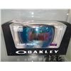 Image 1 : NEW Oakley Flight Path Snow Goggles