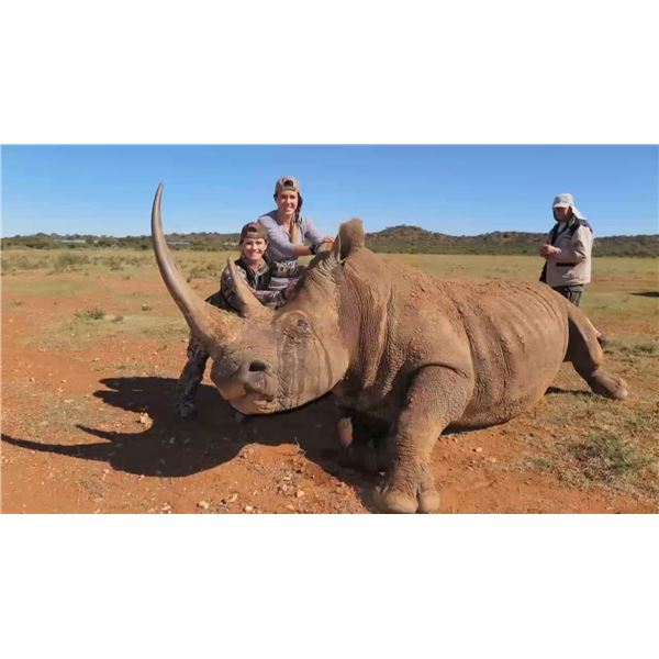 5-Day Rhino Darting Experience