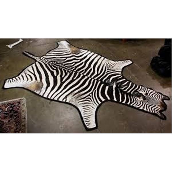 Zebra Skin Rug