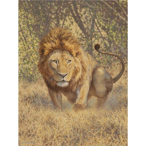 SCI Print of the Year