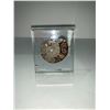 Image 2 : AMMONITE DECOR APPROX 1X1.5"- RETAIL $898.51