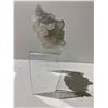 Image 4 : CLEAR QUARTZ BRAZIL DECOR APPROX 4X4.5"- RETAIL $1859.51 *STONE UNATTACHED*