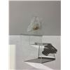 Image 2 : CLEAR QUARTZ BRAZIL DECOR APPROX 2X3"- RETAIL $759.51 *STONE UNATTACHED*