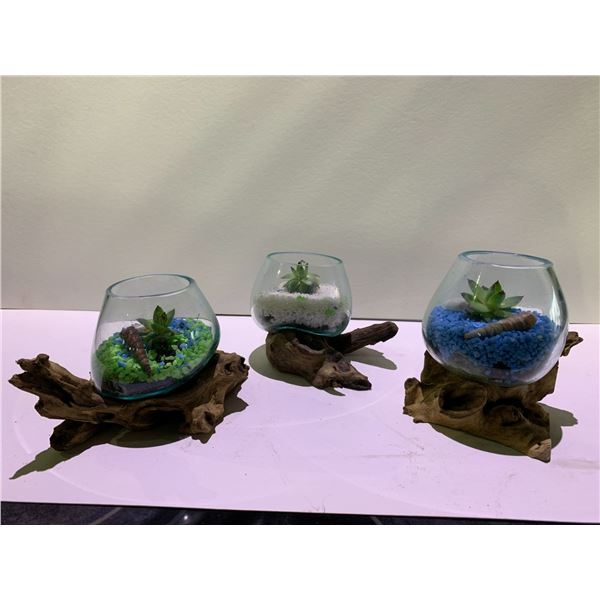 3 HANDMADE MOLTEN GLASS BOWLS ON TEAK WOOD BASES WITH PLANTS