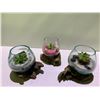 Image 2 : 3 HANDMADE MOLTEN GLASS BOWLS ON TEAK WOOD BASES WITH PLANTS