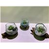 Image 2 : 3 HANDMADE MOLTEN GLASS BOWLS ON TEAK WOOD BASES WITH PLANTS